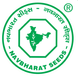 navbharat logo